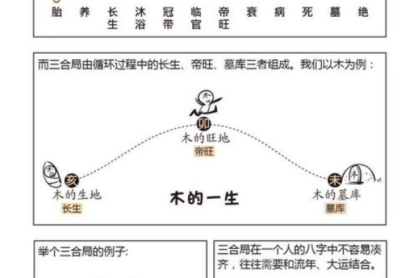 地支三合的奥秘与应用解析