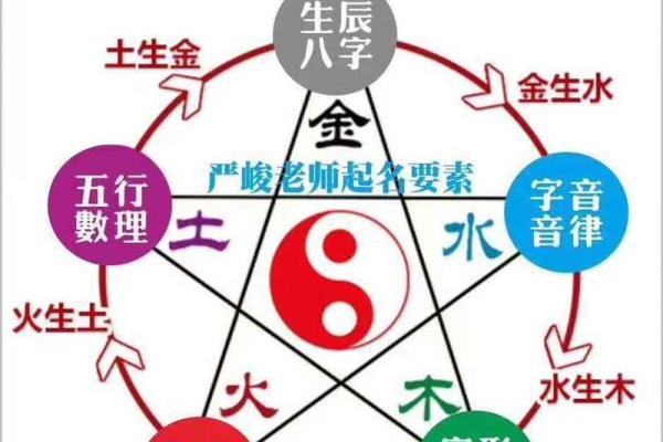 波字五行属性解析与命理应用