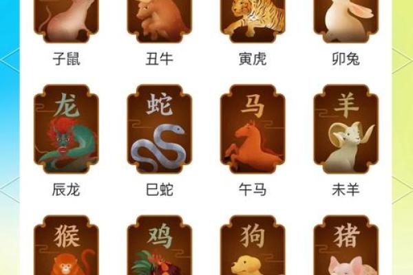 从生肖看地支：中国传统文化的智慧