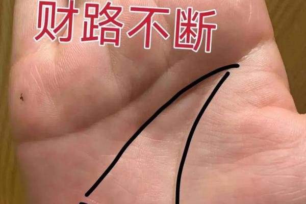 手相中的元宝纹：财运与事业的象征解析