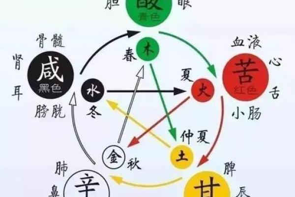 凡字五行属性解析与命理影响