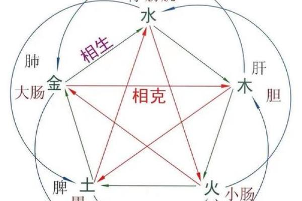 地支相生的奥秘与应用：探索五行相生的深层关系