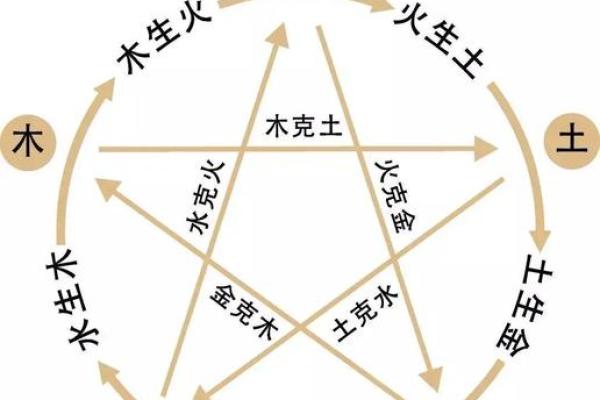 秉字的五行属性解析与命理影响