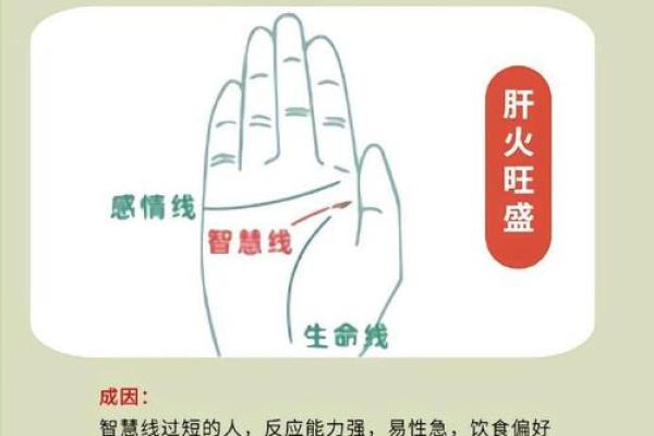 男人手相解析：掌纹中的事业与感情密码