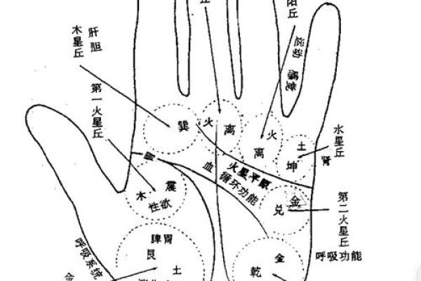 揭秘手相图片中的秘密，读懂命运的轨迹