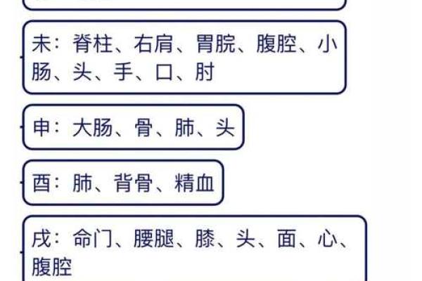 地支三会的奥秘与命理解析