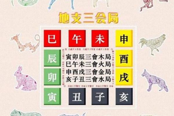 地支三会的奥秘与命理解析