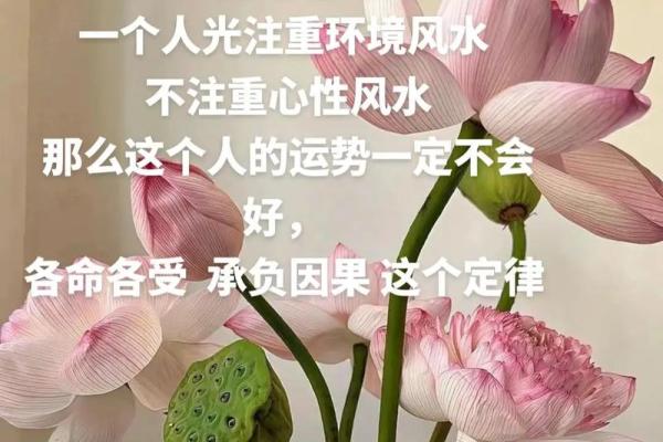 查命理助你了解人生风水，掌握命运主动权