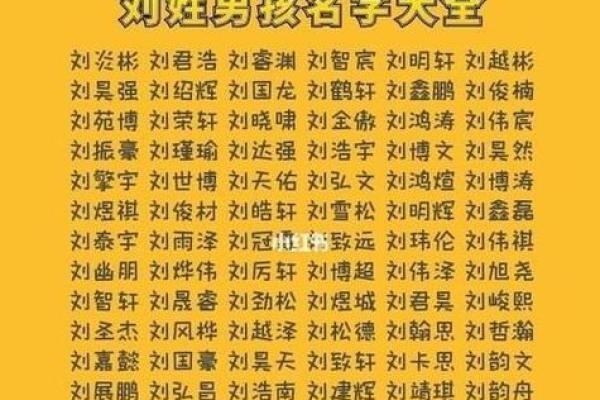 刘姓宝宝名字大全：寓意美好、音韵和谐的选择