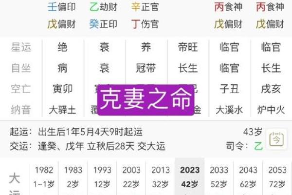 徐嘉名字打分与命理：你需要了解的五行八字秘密