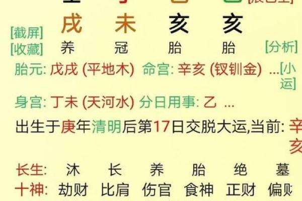 从天干地支解读大运运势