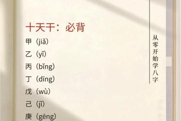 地支相生相克的奥秘与应用分析