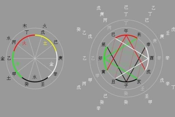 地支五行与命理：揭示它们对人生运势的深刻影响
