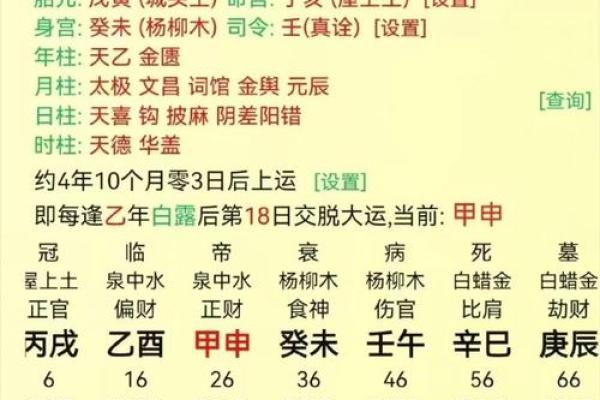 地支五行与命理：揭示它们对人生运势的深刻影响