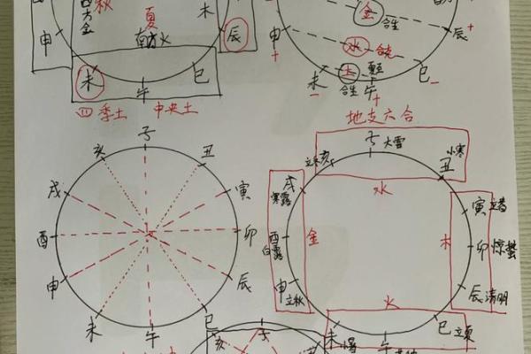 地支辰与命理运势的关联探讨