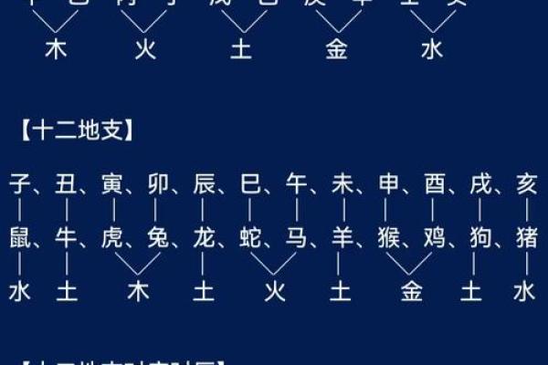地支五行对照表解析与应用指南