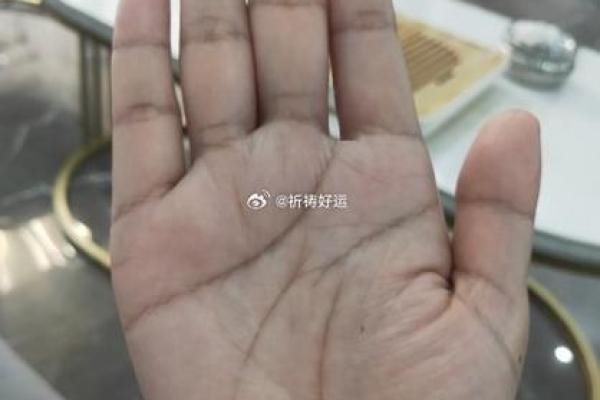 郭晶晶八字天月二德解析：揭秘她背后的命运密码