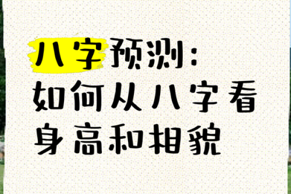 哪些八字特征可能预示着出众容貌的女性