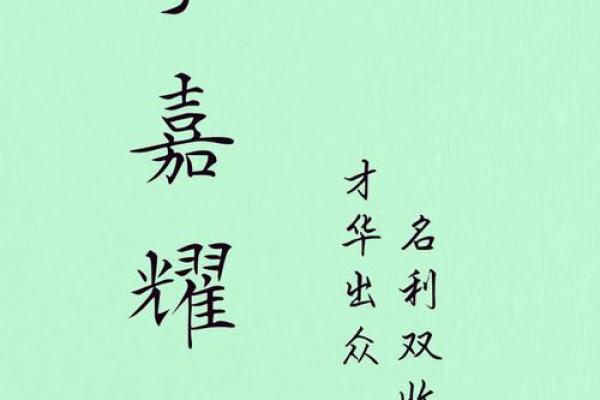 李姓宝宝名字选择：经典与创新的平衡