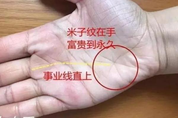 看手相图 帮你发现潜藏的幸运与挑战