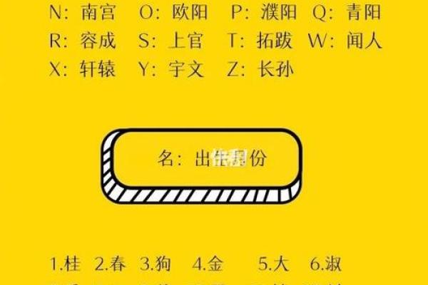 网上测名字打分服务：科学与传统命名的结合