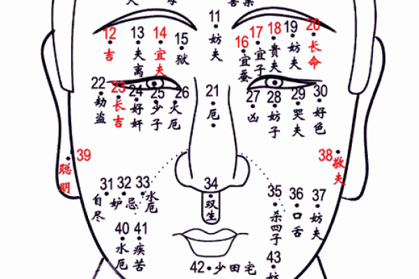 额头痣在男相中的含义与命运解析