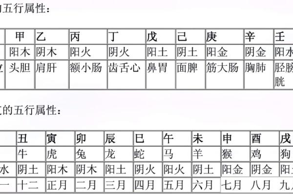 辰在地支中的象征意义与文化解读