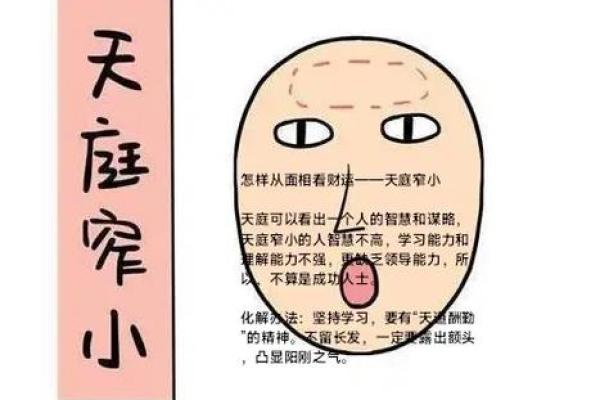 从面相看风水：影响事业和财运的关键面部特征