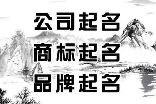 文化公司命名的创意与技巧：打造独特品牌的关键策略