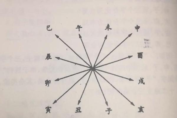 地支巳申合的命理解析与实际应用