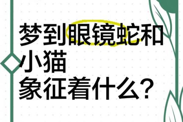 孕妇梦见蛇的含义与解读：象征着什么？