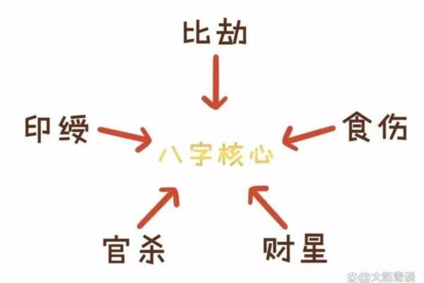 从零开始自学命理，逐步解开人生奥秘