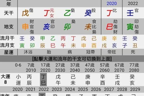 地支双亥的命理解析与运势影响