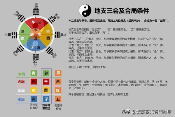 地支的定义与作用解析