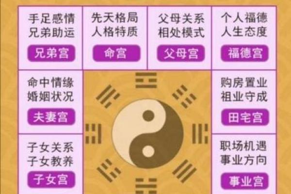 查命理，发现你命运中的隐藏潜力与挑战