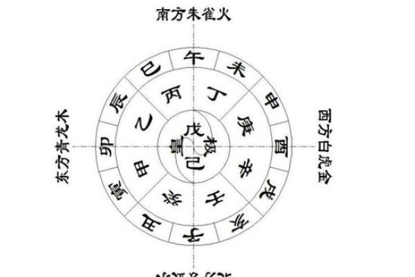 地支算法解析：揭开中国传统命理的神秘面纱