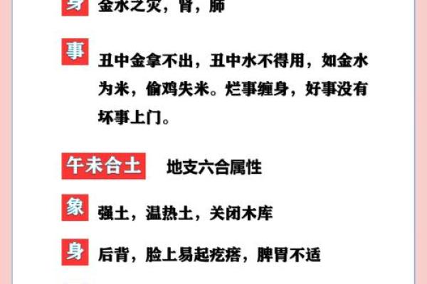 地支五行相生相克的奥秘