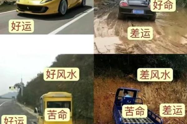风水小秘诀：提升爱情运的关键布局法则