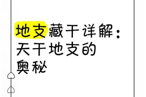 地支遁藏的奥秘与应用解析