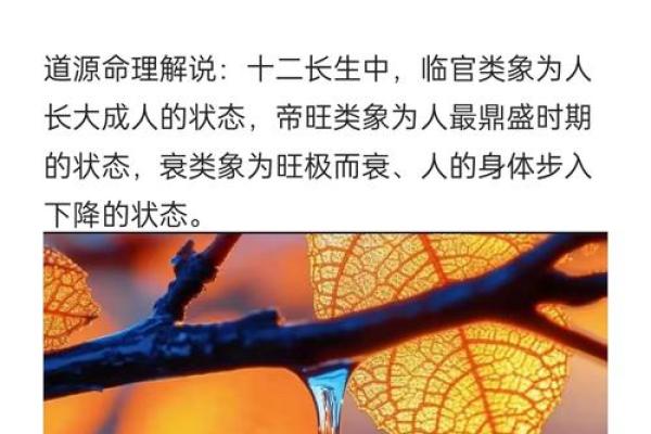 道源命理的核心理念与人生选择的关系