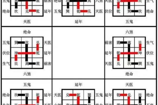 提升属鸡运势的家居风水布置指南