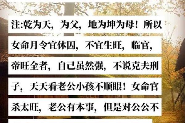 阿财命理文集：揭示命运背后的深刻智慧与人生启示