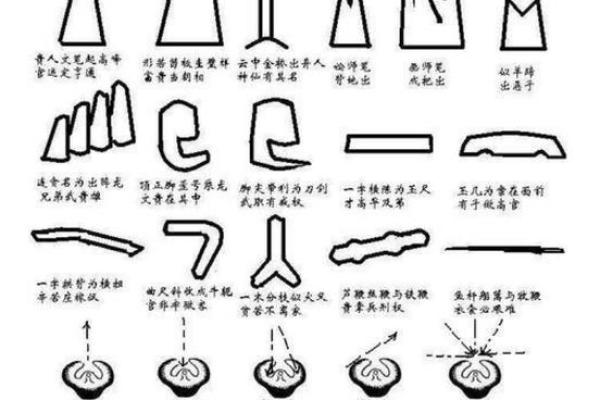 盗墓风水学：阴宅中的财富与诅咒
