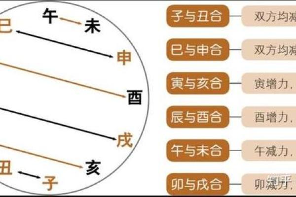 地支冲合的关系与命理解析：深入理解生肖间的互动影响