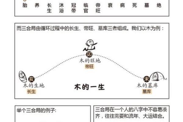 地支三合的基本条件与应用解析