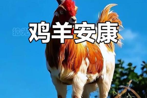 鸡年宝光生辉：巧取2017鸡宝宝八字吉祥名