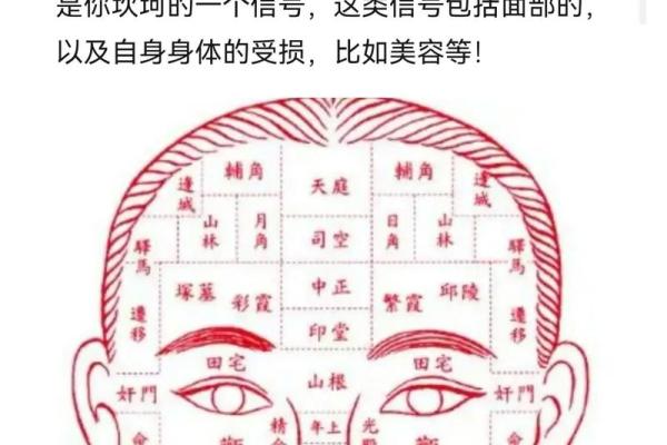 耳廓模糊面相解析：揭示命运与性格的秘密