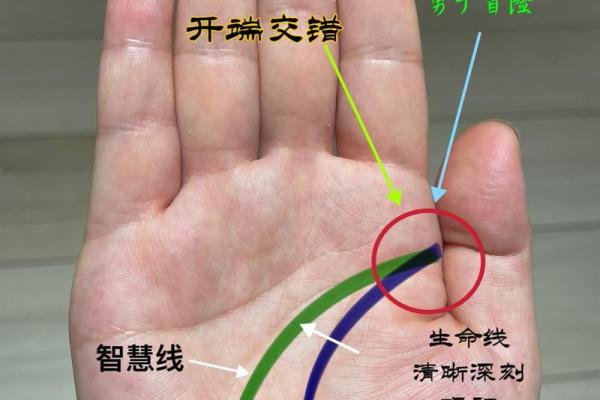 手相奥秘大公开：轻松看手相，解码你的命运之谜