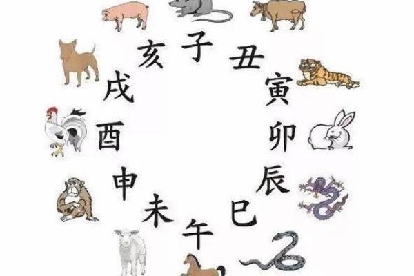 揭秘办公室白虎位风水：提升运势，财运亨通的秘密武器！