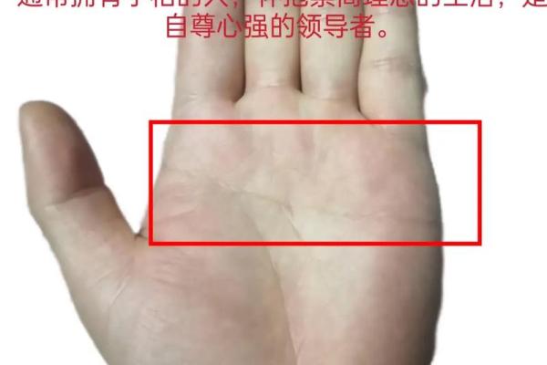 指尖间的宇宙秘密：手相哲学探秘
